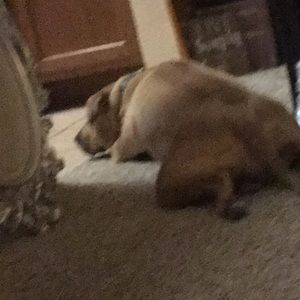 Meet your Posher, Leon